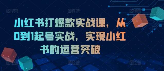 小红书打爆款实战课，从0到1起号实战，实现小红书的运营突破-威云科技 余香的脑洞