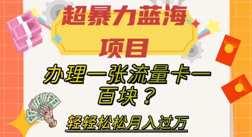 超暴力蓝海项目，办理一张流量卡一百块？轻轻松松月入过万，保姆级教程【揭秘】-威云科技 余香的脑洞