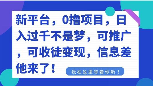 不要再花冤枉钱了，0撸项目，每天坚持，稳定1000+-威云科技 余香的脑洞