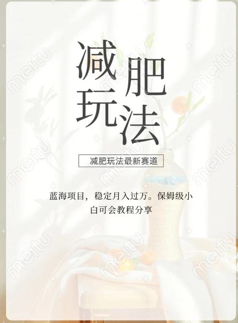 减肥流量主新玩法，轻松月入1W，可矩阵操作收入翻倍-威云科技 余香的脑洞