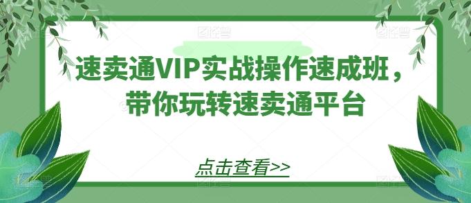 速卖通VIP实战操作速成班,带你玩转速卖通平台-威云科技 余香的脑洞
