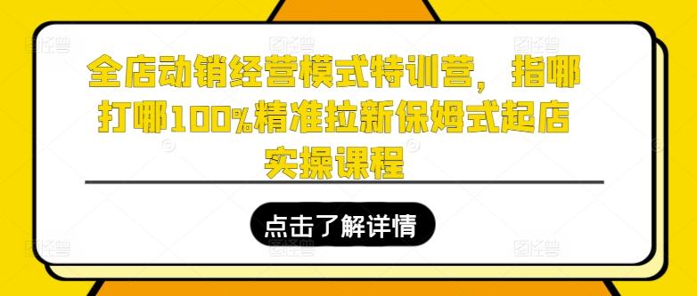全店动销经营模式特训营，指哪打哪100%精准拉新保姆式起店实操课程-威云科技 余香的脑洞