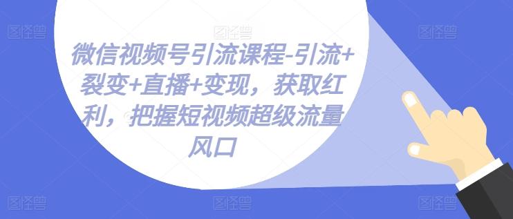 微信视频号引流课程-引流+裂变+直播+变现，获取红利，把握短视频超级流量风口-威云科技 余香的脑洞