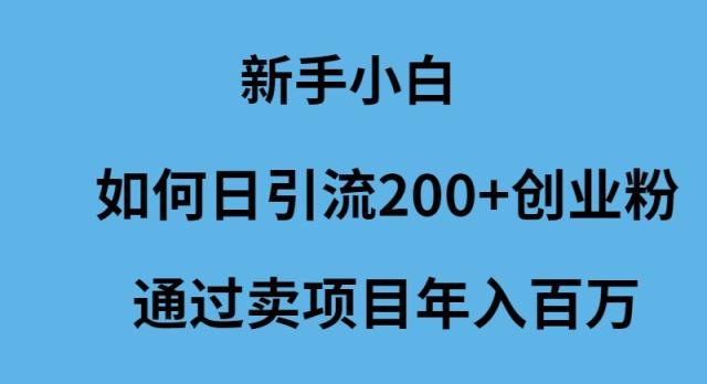 (9668期)新手小白如何日引流200+创业粉通过卖项目年入百万-威云科技 余香的脑洞