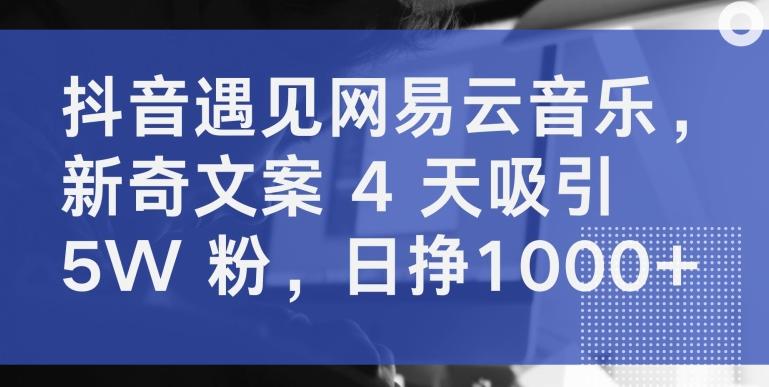 抖音遇见网易云音乐，新奇文案 4 天吸引 5W 粉，日挣1000+【揭秘】-威云科技 余香的脑洞
