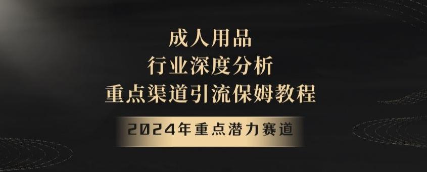 2024年重点潜力赛道，成人用品行业深度分析，重点渠道引流保姆教程【揭秘】-威云科技 余香的脑洞