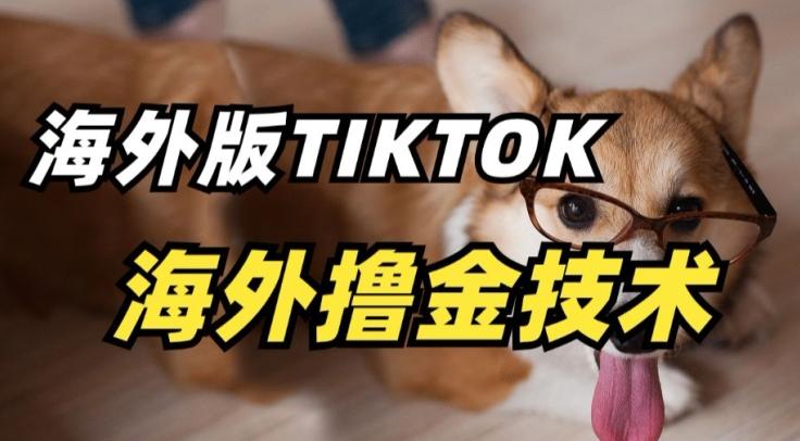 抖音海外版tiktok撸金技术，这个风口行业，赚钱真的不难【揭秘】-威云科技 余香的脑洞