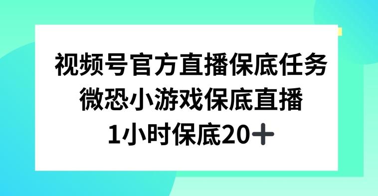 视频号直播任务，微恐小游戏，1小时20+【揭秘】-威云科技 余香的脑洞