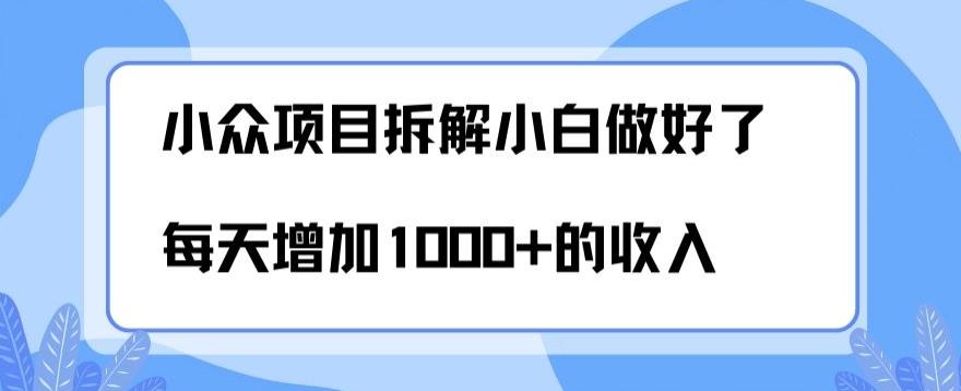 小众项目拆解,小白做好了每天可增加1000多的收入-威云科技 余香的脑洞