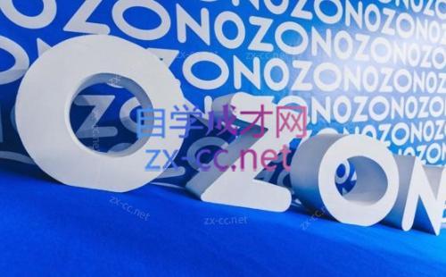 森哥·出海俄罗斯电商实操(2024)-威云科技 余香的脑洞