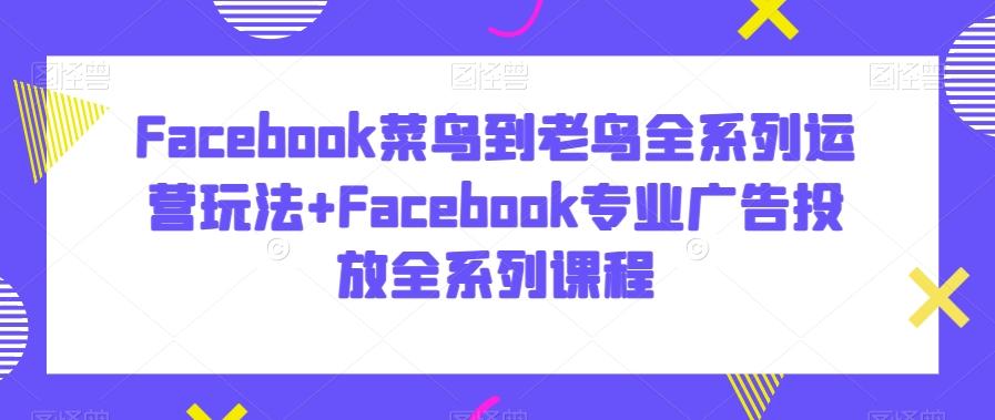 Facebook菜鸟到老鸟全系列运营玩法+Facebook专业广告投放全系列课程-威云科技 余香的脑洞