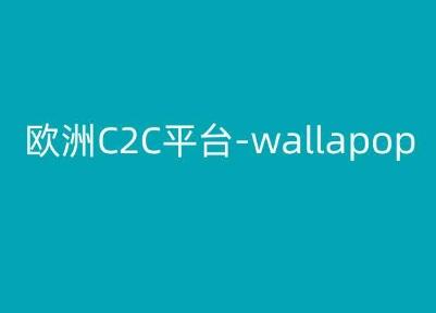 欧洲C2C平台-wallapop-kim跨境电商教程-威云科技 余香的脑洞