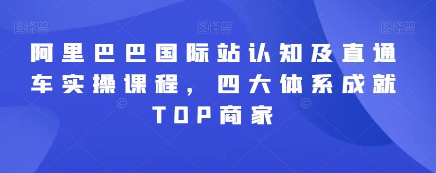 阿里巴巴国际站认知及直通车实操课程,四大体系成就TOP商家-威云科技 余香的脑洞