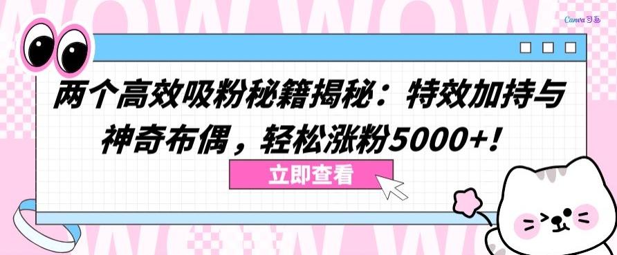 两个高效吸粉秘籍揭秘：特效加持与神奇布偶，轻松涨粉5000+【揭秘】-威云科技 余香的脑洞