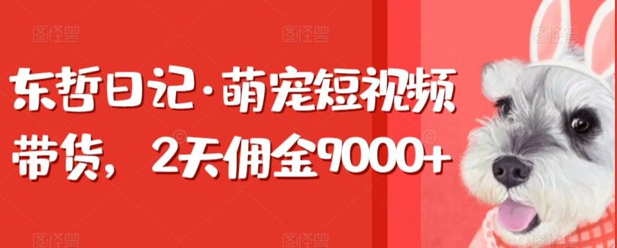 东哲日记·萌宠短视频带货，2天佣金9000+-威云科技 余香的脑洞
