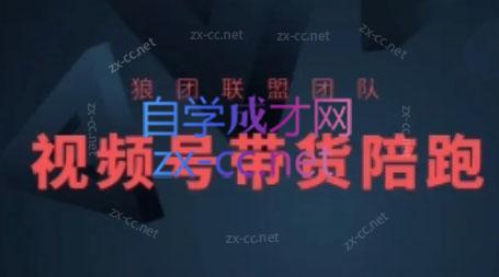 狼团联盟·2024视频号带货-威云科技 余香的脑洞