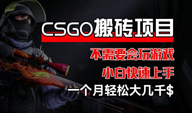 CSGO 装备搬砖项目，操作简单，不需要会玩游戏，小白也能快速上手，一个月轻松大几千【揭秘】-威云科技 余香的脑洞