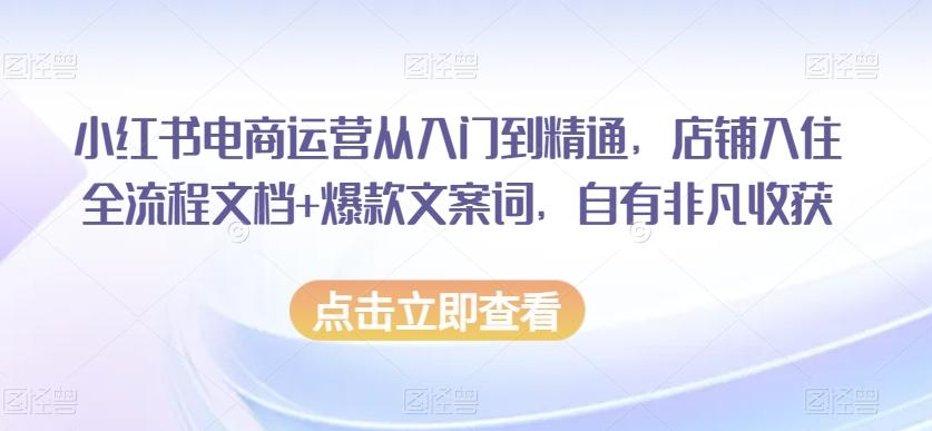 小红书电商运营从入门到精通，店铺入住全流程文档+爆款文案词，自有非凡收获-威云科技 余香的脑洞