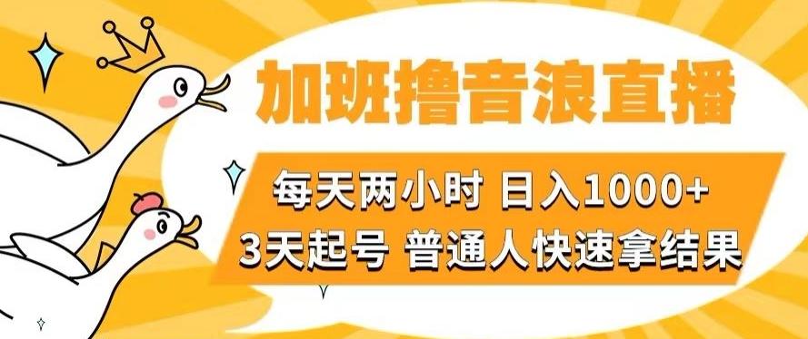 加班撸音浪直播,每天两小时,日入1000+,直播话术才3句,3天起号,普通人快速拿结果【揭秘】-威云科技 余香的脑洞
