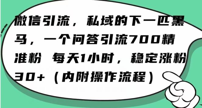 怎么搞精准创业粉？微信新赛道，每天一小时，利用Ai一个问答日引100精准粉-威云科技 余香的脑洞