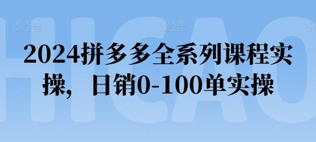 2024拼多多全系列课程实操，日销0-100单实操【必看】-威云科技 余香的脑洞