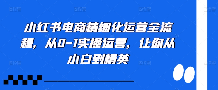 小红书电商精细化运营全流程，从0-1实操运营，让你从小白到精英-威云科技 余香的脑洞