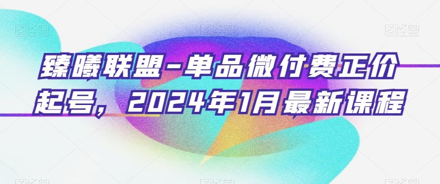 臻曦联盟-单品微付费正价起号，2024年1月最新课程-威云科技 余香的脑洞