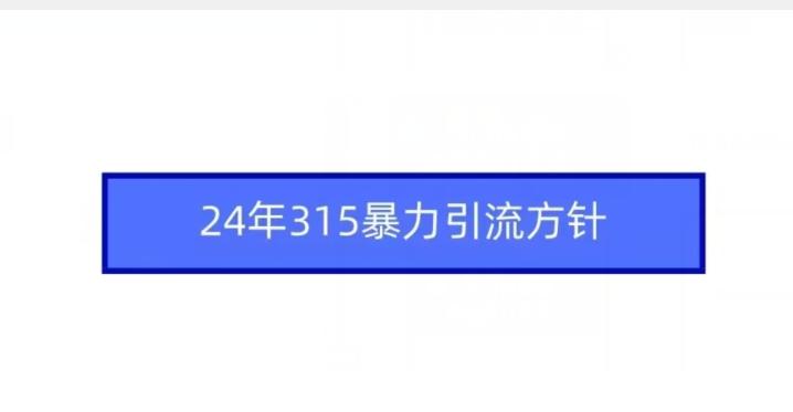 24年315暴力引流方针-威云科技 余香的脑洞
