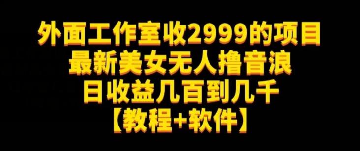 外面工作室收2999的项目最新美女无人撸音浪日收益几百到几千【教程+软件】（仅揭秘）-威云科技 余香的脑洞