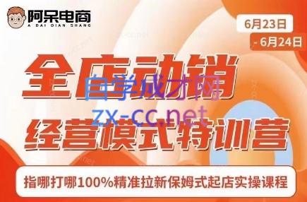 阿呆电商·全店动销经营模式特训营(线下录音+思维导图)-威云科技 余香的脑洞
