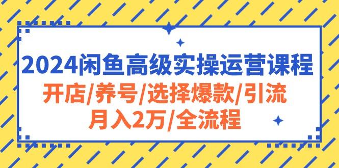 2024闲鱼高级实操运营课程：开店/养号/选择爆款/引流/月入2万/全流程-威云科技 余香的脑洞