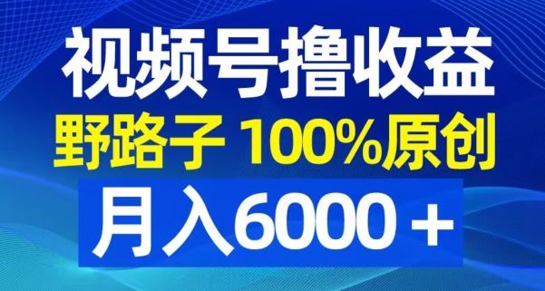 视频号野路子撸收益，100%原创，条条爆款，月入6000＋【揭秘】-威云科技 余香的脑洞
