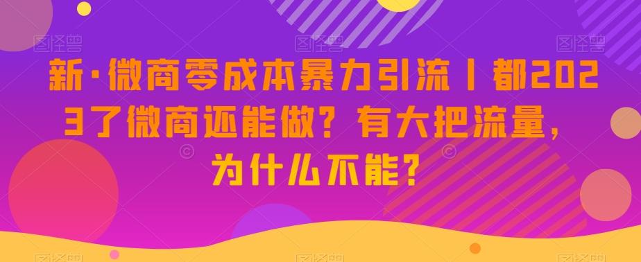 新·微商零成本暴力引流丨都2023了微商还能做？有大把流量，为什么不能？-威云科技 余香的脑洞