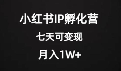 价值2000+的小红书IP孵化营项目，超级大蓝海，七天即可开始变现，稳定月入1W+-威云科技 余香的脑洞