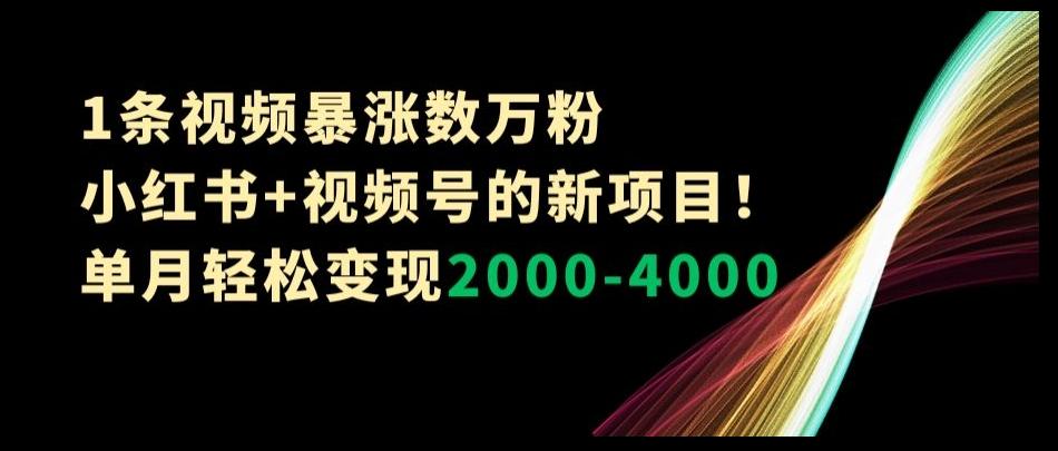 1条视频暴涨数万粉--小红书+视频号的新项目！单月轻松变现2000-4000【揭秘】-威云科技 余香的脑洞