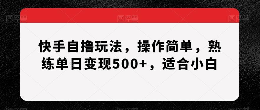 快手自撸玩法，操作简单，熟练单日变现500+，适合小白【揭秘】-威云科技 余香的脑洞