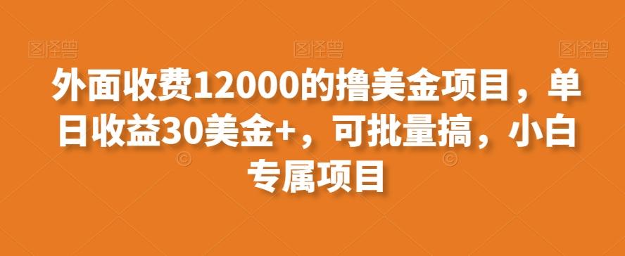 外面收费12000的撸美金项目，单日收益30美金+，可批量搞，小白专属项目-威云科技 余香的脑洞