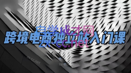 团长·跨境电商独立站入门课(2小时精华)-威云科技 余香的脑洞