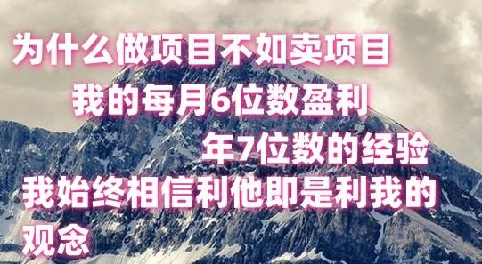 做项目不如卖项目，每月6位数盈利，年7位数经验-威云科技 余香的脑洞