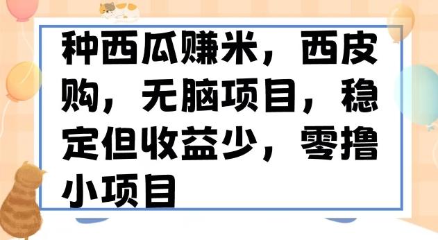 种西瓜赚米，西皮购稳定长久零撸小项目-威云科技 余香的脑洞