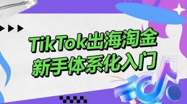 TikTok出海淘金，新手体系化入门，零基础快速入门，掌握短视频、直播带货等引流到变现的知识-威云科技 余香的脑洞
