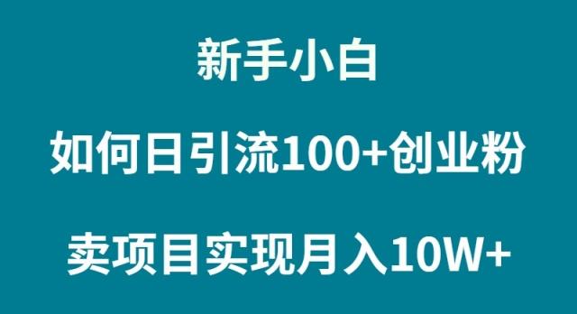 (9556期)新手小白如何通过卖项目实现月入10W+-威云科技 余香的脑洞