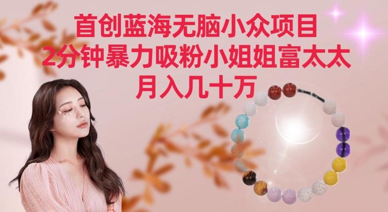 首创蓝海无脑小众项目，2分钟暴力吸粉小姐姐富太太，月入几十万【揭秘】-威云科技 余香的脑洞